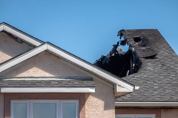 Top rated local Emergency Fire Cleanup specialists in Carnation, WA